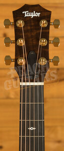 Taylor 50th Anniversary Collection | GS Mini-e Rosewood LTD - Natural Top