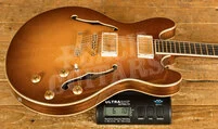 Eastman Truetone Gloss T186MX-GB | Goldburst
