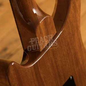 PRS DGT Charcoal Birds