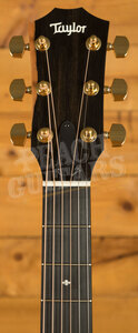 Taylor 200 Deluxe Series | 214ce-K DLX