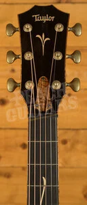Taylor Custom | Custom #12442: Grand Concert 12-Fret