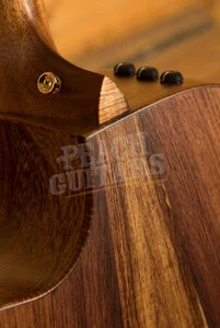 Taylor Custom | Custom #12442: Grand Concert 12-Fret