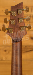 Cort Acoustics Frank Gambale LUXE Series | LUXE II - Natural Glossy
