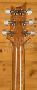 PRS Hollowbody II Piezo Yellow Tiger 58/15 LT