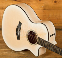 Taylor 50th Anniversary Collection | 614ce LTD