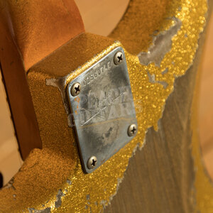Fender Custom Shop '60 Strat Dale Wilson Masterbuilt Heavy Relic Gold Sparkle