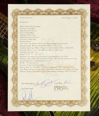 PRS Private Stock | Custom 24-08 Semi Hollow - Rainforest Glow