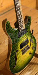 PRS Private Stock | Custom 24-08 Semi Hollow - Rainforest Glow