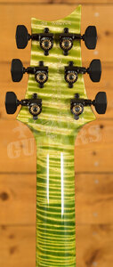 PRS Private Stock | Custom 24-08 - Rainforest Glow