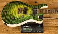 PRS Private Stock | Custom 24-08 - Rainforest Glow