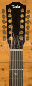 Taylor 200 Series | 264ce-K DLX