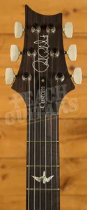 PRS Custom 24-08 | 10 Top - Faded Whale Blue