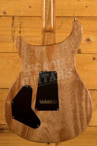 PRS DGT Birds Aquamarine