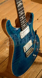 PRS DGT Birds Aquamarine