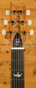 PRS DGT Birds Aquamarine