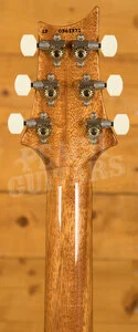 PRS DGT Birds Aquamarine