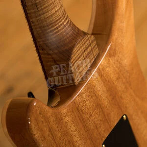 PRS Wood Library Custom 24 Whale Blue Roasted Maple/Ziricote