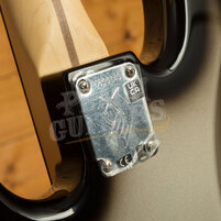 Fender Troy Sanders Precision Bass | Rosewood - Silverburst