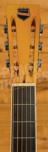 National Singlecones | Triolian Polychrome - Wood Body - 12-Fret