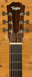 Taylor Baby Series | Baby Taylor (BT1)