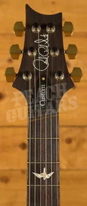 PRS Custom 24-08 - Aquamarine 10 Top Pattern Thin