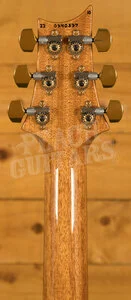 PRS Custom 24-08 - Aquamarine 10 Top Pattern Thin