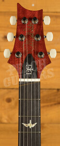 PRS DGT - McCarty Sunburst with Birds