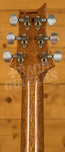 PRS Hollowbody II Piezo Purple Iris