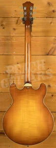 Eastman Truetone Gloss T484-GB | Goldburst