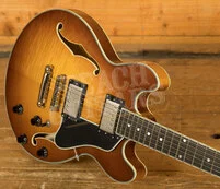 Eastman Truetone Gloss T484-GB | Goldburst