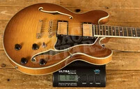 Eastman Truetone Gloss T484-GB | Goldburst