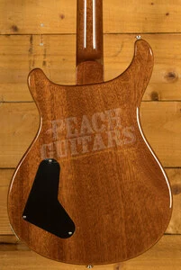 PRS Paul's Guitar Copperhead Wrap