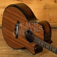 Taylor 900 Series | Builder's Edition 914ce