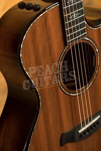 Taylor 900 Series | Builder's Edition 914ce