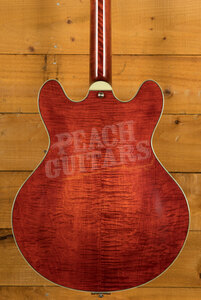 Eastman Electric Thinline - Truetone Gloss | T486B - Classic
