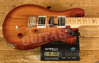 PRS SE Specialty | Swamp Ash Special - Vintage Sunburst