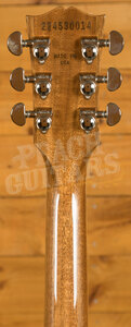 Gibson Les Paul Standard '60s - Honey Amber