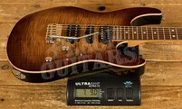 Suhr Modern Plus Bengal Burst Pau Ferro