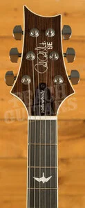 PRS SE Hollowbody | SE Hollowbody Standard Piezo - Dog Hair Smokeburst
