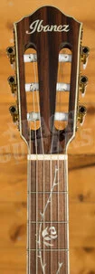 Ibanez TOD10N Tim Henson Solid-Top Cutaway Nylon Guitar - Transparent Black Flat