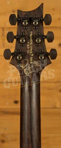 PRS Private Stock Custom 24 Brazilian - Aqua Violet Glow