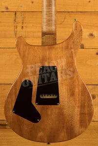 PRS Wood Library Custom 24-08 | River Blue