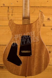 PRS Wood Library Custom 24-08 | Aquamarine