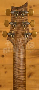 PRS Wood Library Modern Eagle V | Custom Colour - Roasted Maple Neck