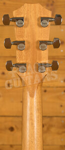 Taylor 200 Series | 214ce Ziricote Plus Special Edition