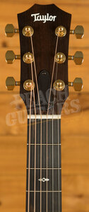 Taylor 50th Anniversary Collection | GS Mini-e Rosewood SB LTD - Vintage Sunburst Top