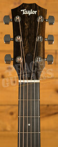 Taylor 100 Series | 114ce-SB - Sunburst Top