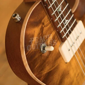 Nik Huber - Orca Superhollow Custom w/Brazilian Rosewood Fingerboard