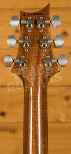 PRS Special Semi Hollow Eriza Verde Pattern