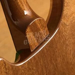 PRS Special Semi Hollow Eriza Verde Pattern